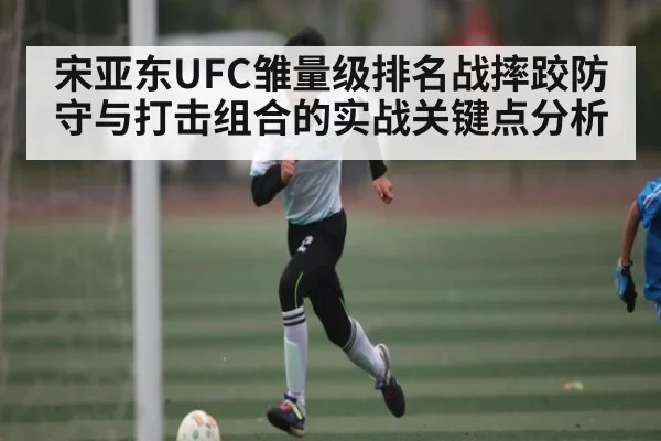 宋亚东UFC雏量级排名战摔跤防守与打击组合的实战关键点分析